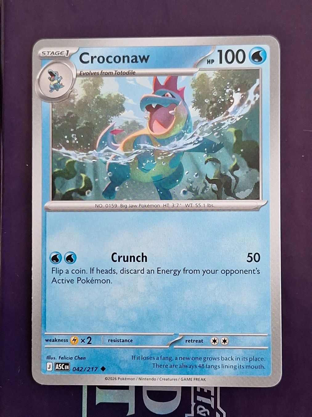 Pokémon Carte collezionabili: Croconaw - Pokemon Ascended Heroes – Usato da Altstätten SG venduto da GGsGameshop