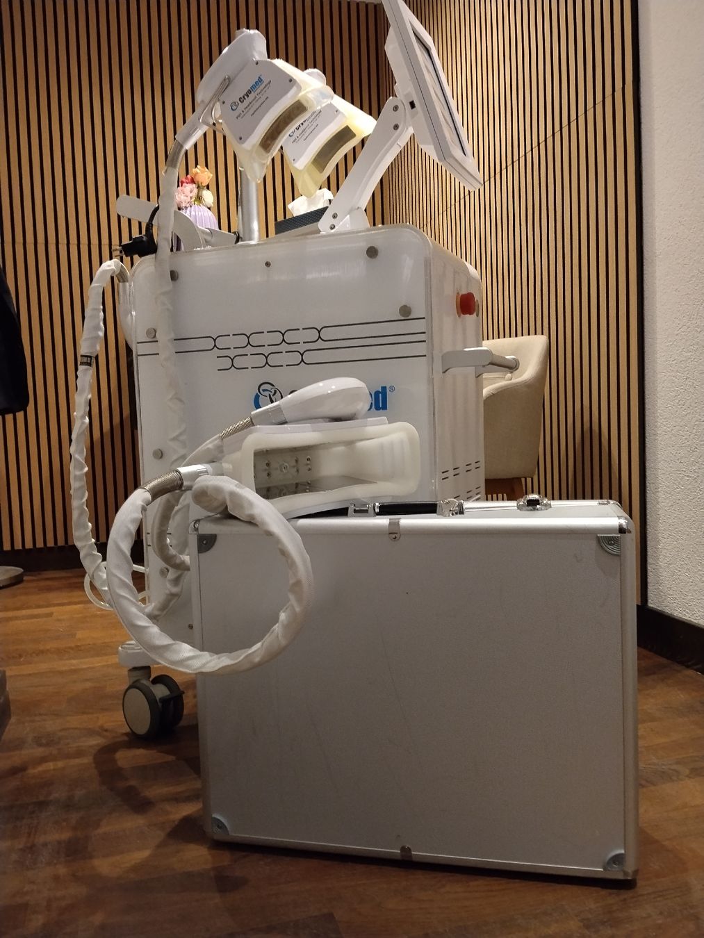 Attrezzature mediche: Cryolipolisis Gerät - Cryomed – Usato da Bern venduto da Ulises1983 7