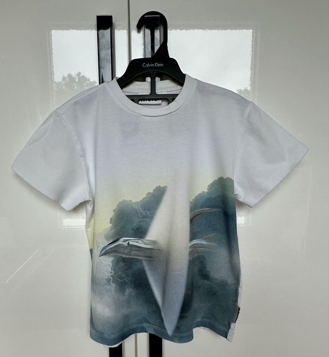 Molo Camicie, T-shirt & Polo: T-shirt in cotone MOLO – Usato da Castel San Pietro venduto da Moregi
