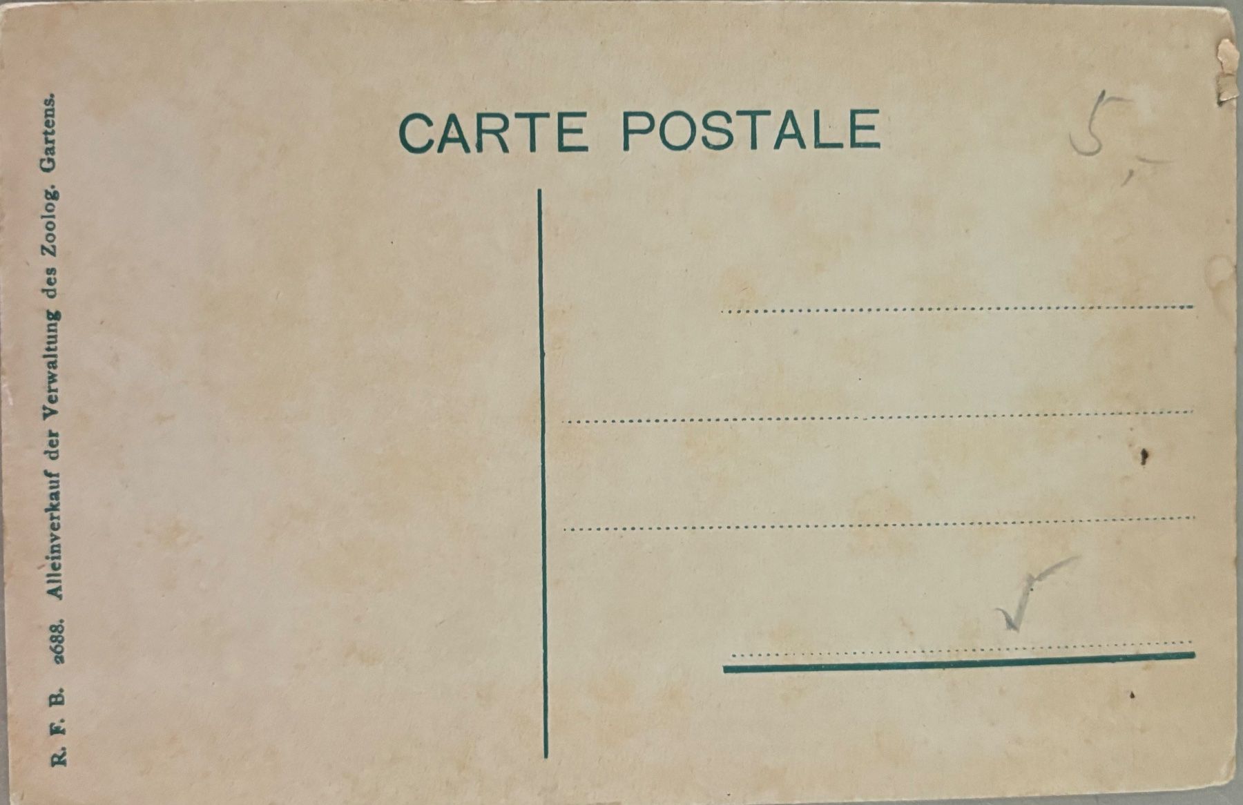 Cartes postales: Basel, Zoo, Hyäne – D'occasion à Frauenfeld par Merk52 1