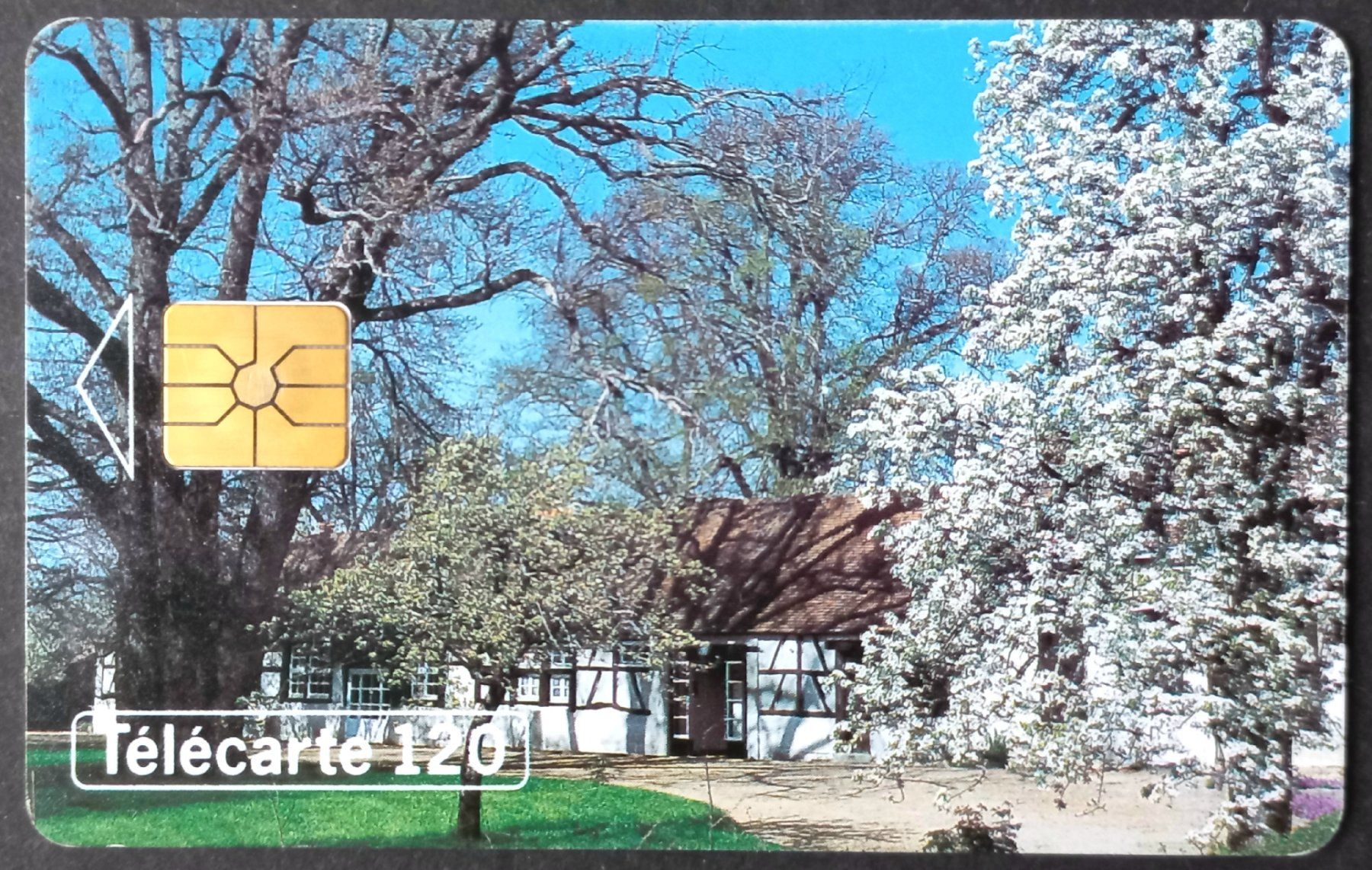 Schede telefoniche: Taxcard - Frühling - F – Usato da Niederuzwil venduto da lubimaja