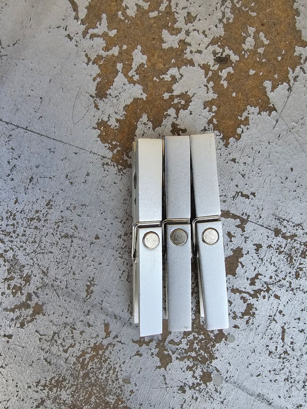 Calamite: Metall: Magnetklammer Set 3-tlg. – Nuovo (secondo la descrizione) da Romanshorn venduto da Rachacha 1