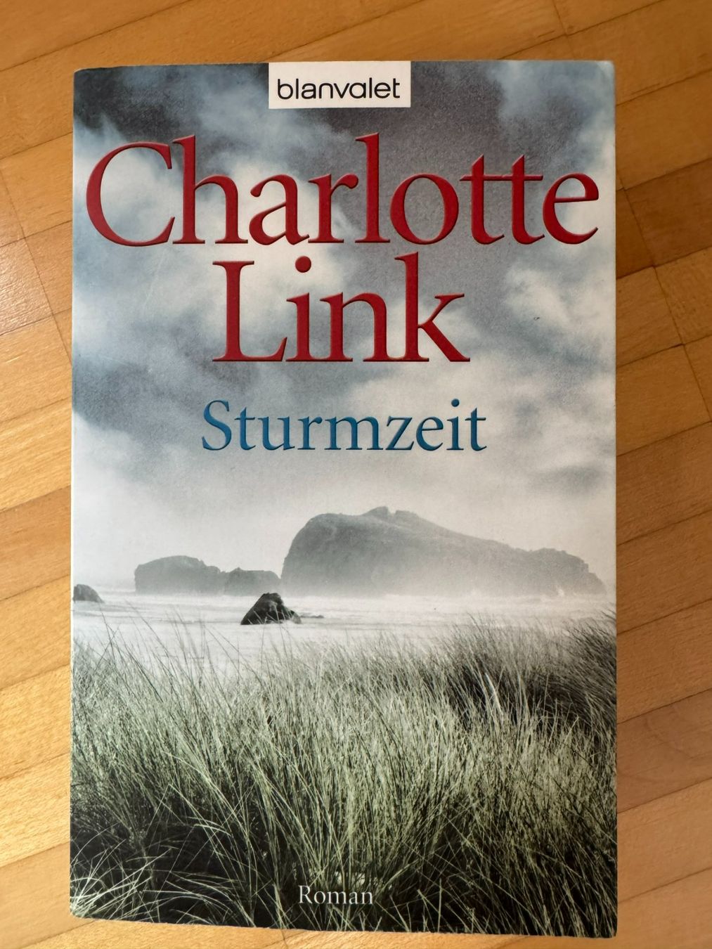 Libri: Sturmzeit - Charlotte Link – Usato da Küssnacht am Rigi venduto da DanielaH0102