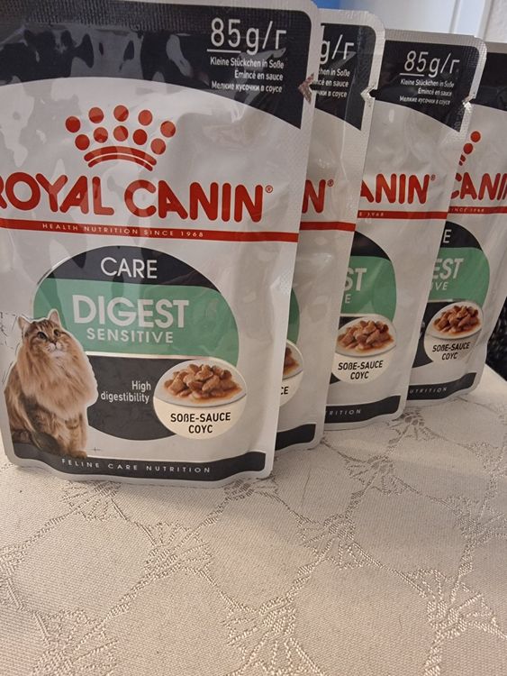 Royal Canin Katzenfutter Nass