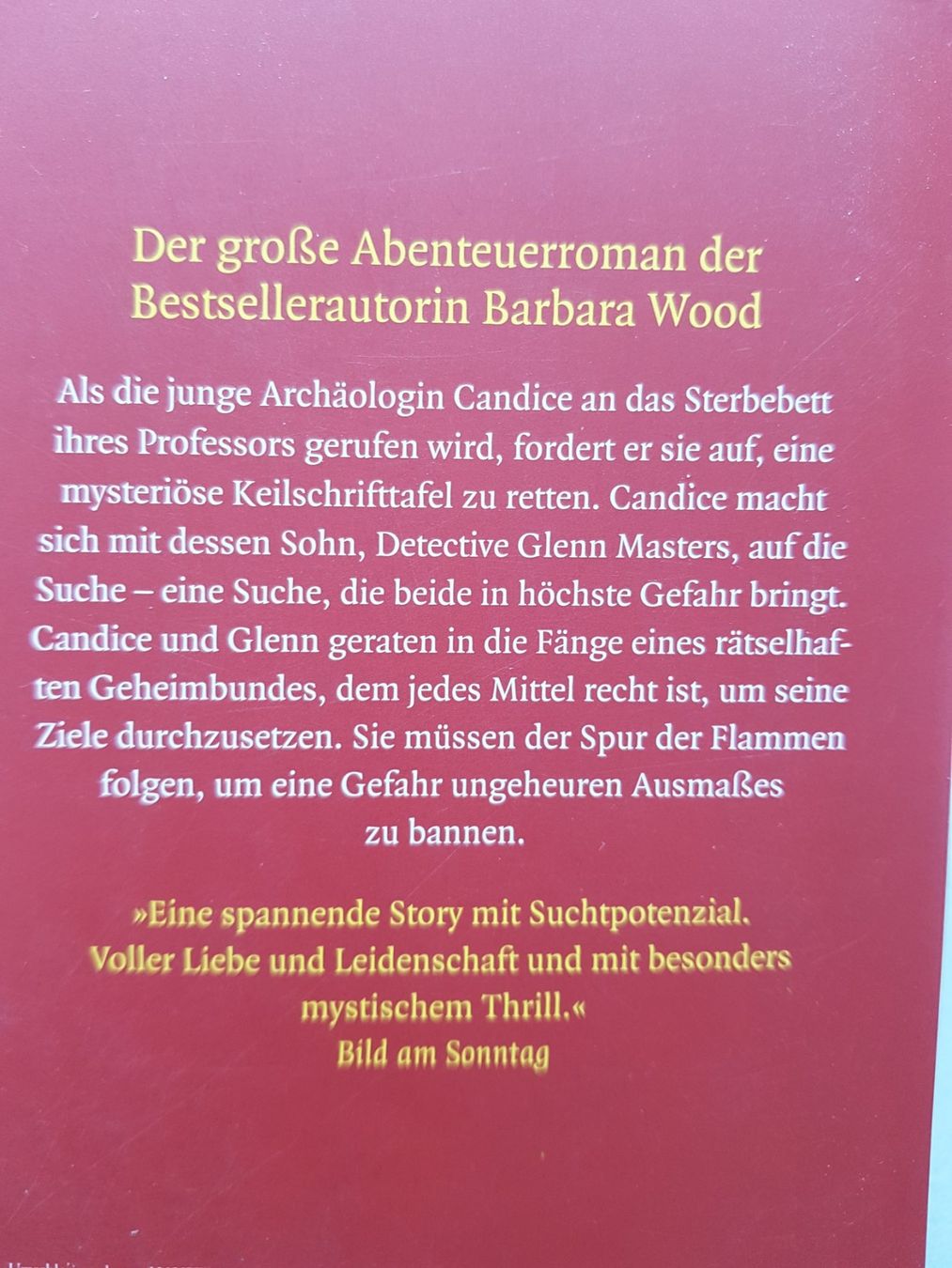 Libri: 2 Romane von Barbara Wood – Usato da Klosters venduto da Riva123 2