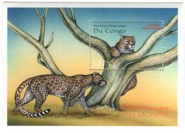 Block "Leopard". Kongo
