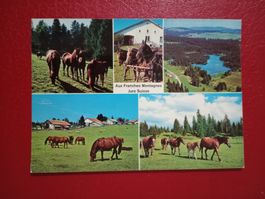 AK Jura Aux Franches Montagnes mehrbildrig