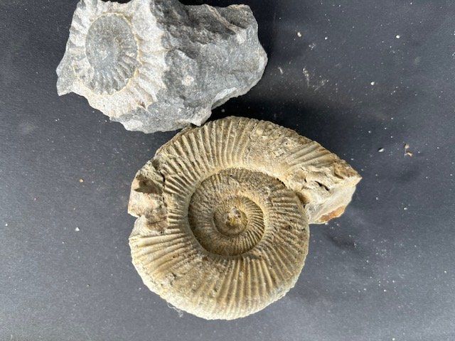 Minerali & Pietre curative: Steine – Usato da Buchrain venduto da Julia06