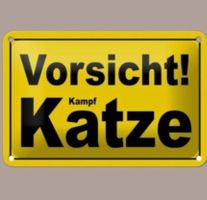 🔥 VORSICHT KAMPF KATZE Blechschild 🎀 12x18cm OVP 🔥