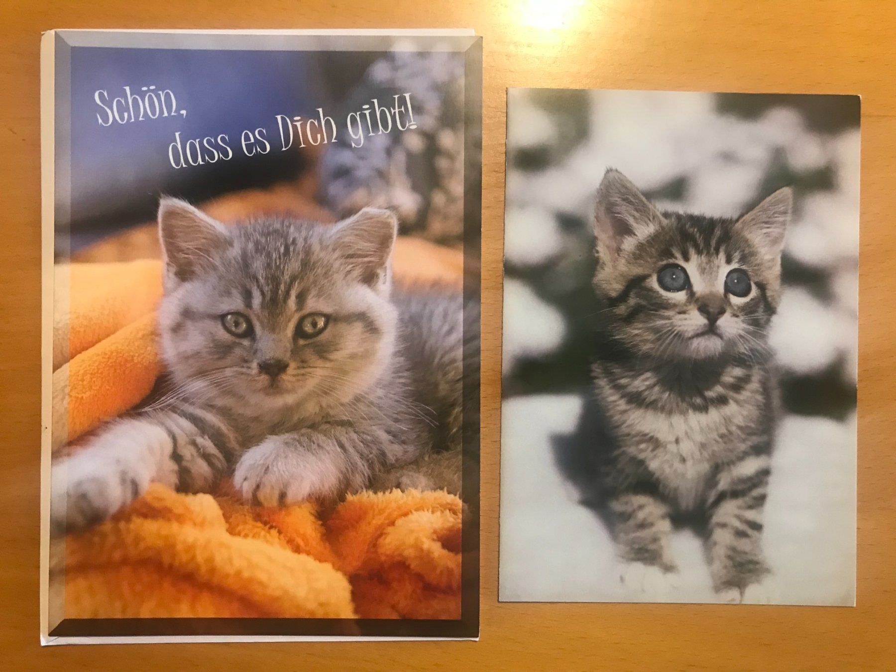 Cartoline postali: 2x Grusskarten Katzen – Usato da Luzern venduto da mey_s13