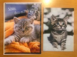 2x Grusskarten Katzen