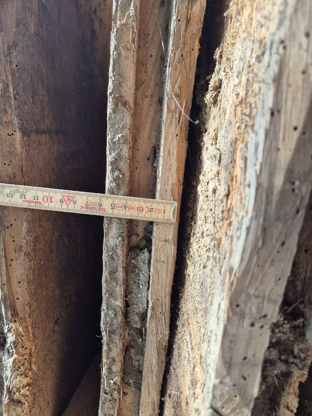 Articles en bois: Posten Altholz  – D'occasion à Hofstetten BE par hillhood 3