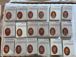 Die grossen Klassiker  -  Literatur der Welt