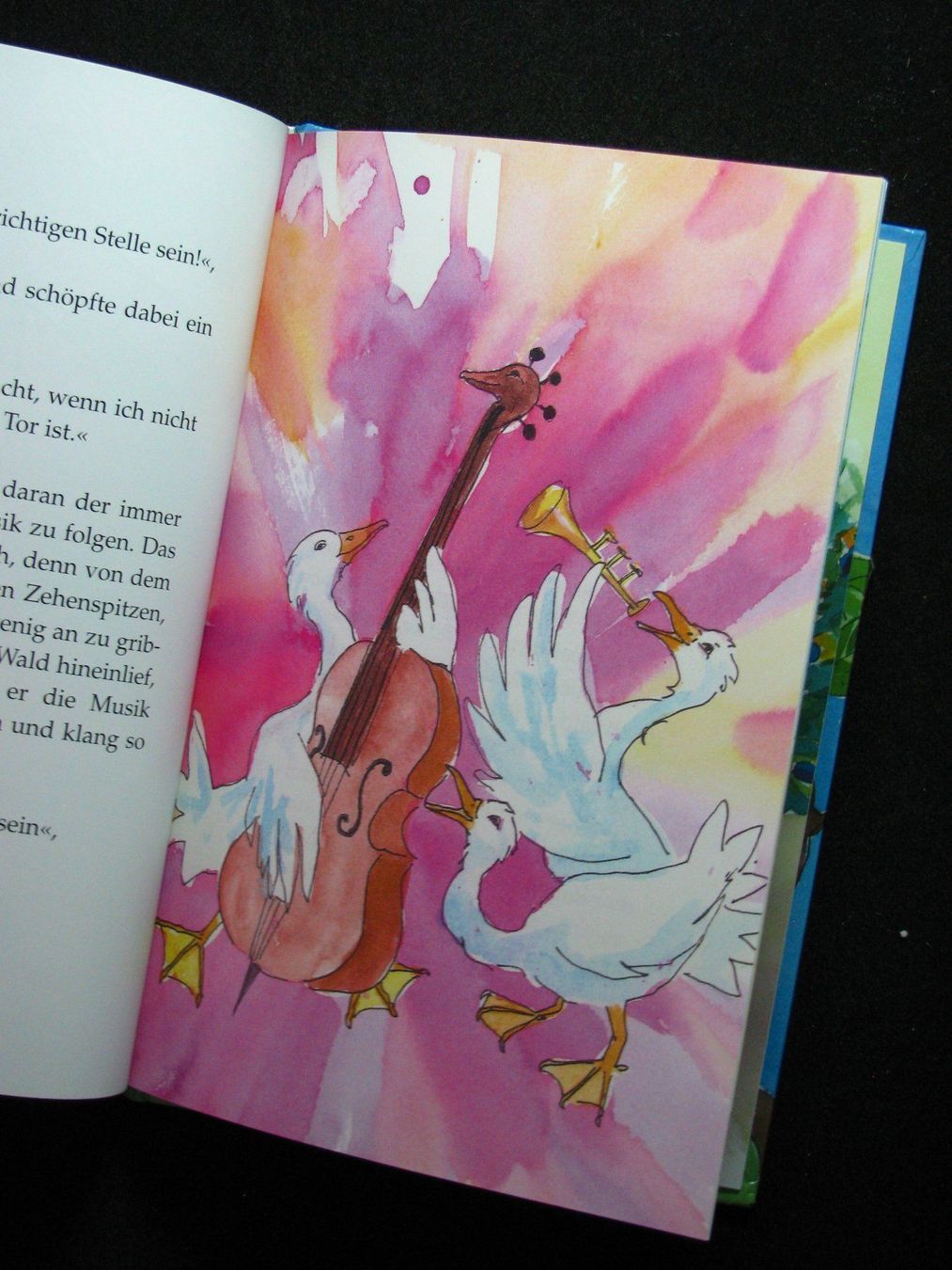 Libri: Marc Orthmann  Die Vogelhochzeit – Usato da Reitnau venduto da Zaomir 4