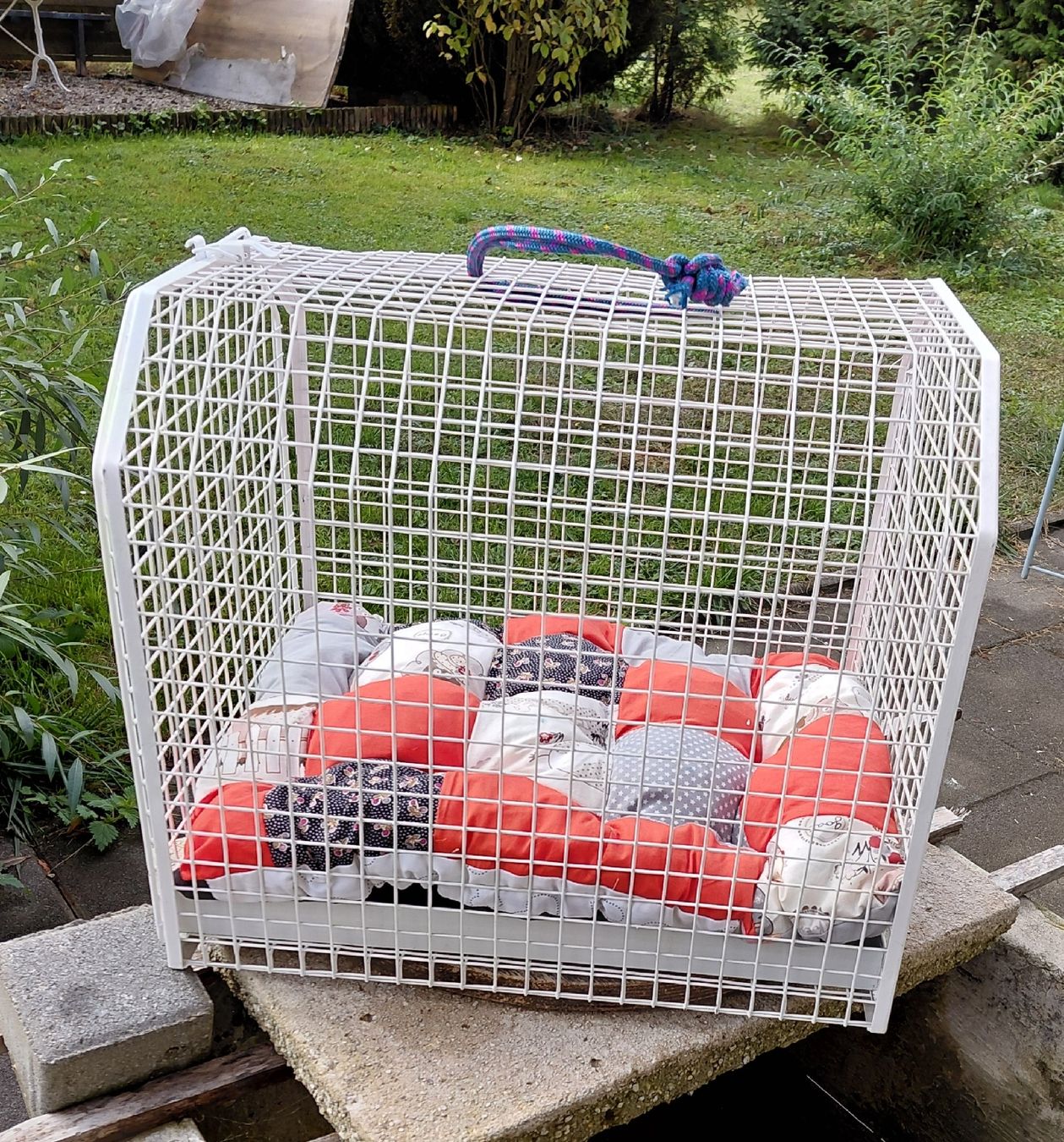 Käfige, Transport & Sicherheit: Transportkäfig 43x32xh36cm – Gebraucht aus zuchwil von parson65