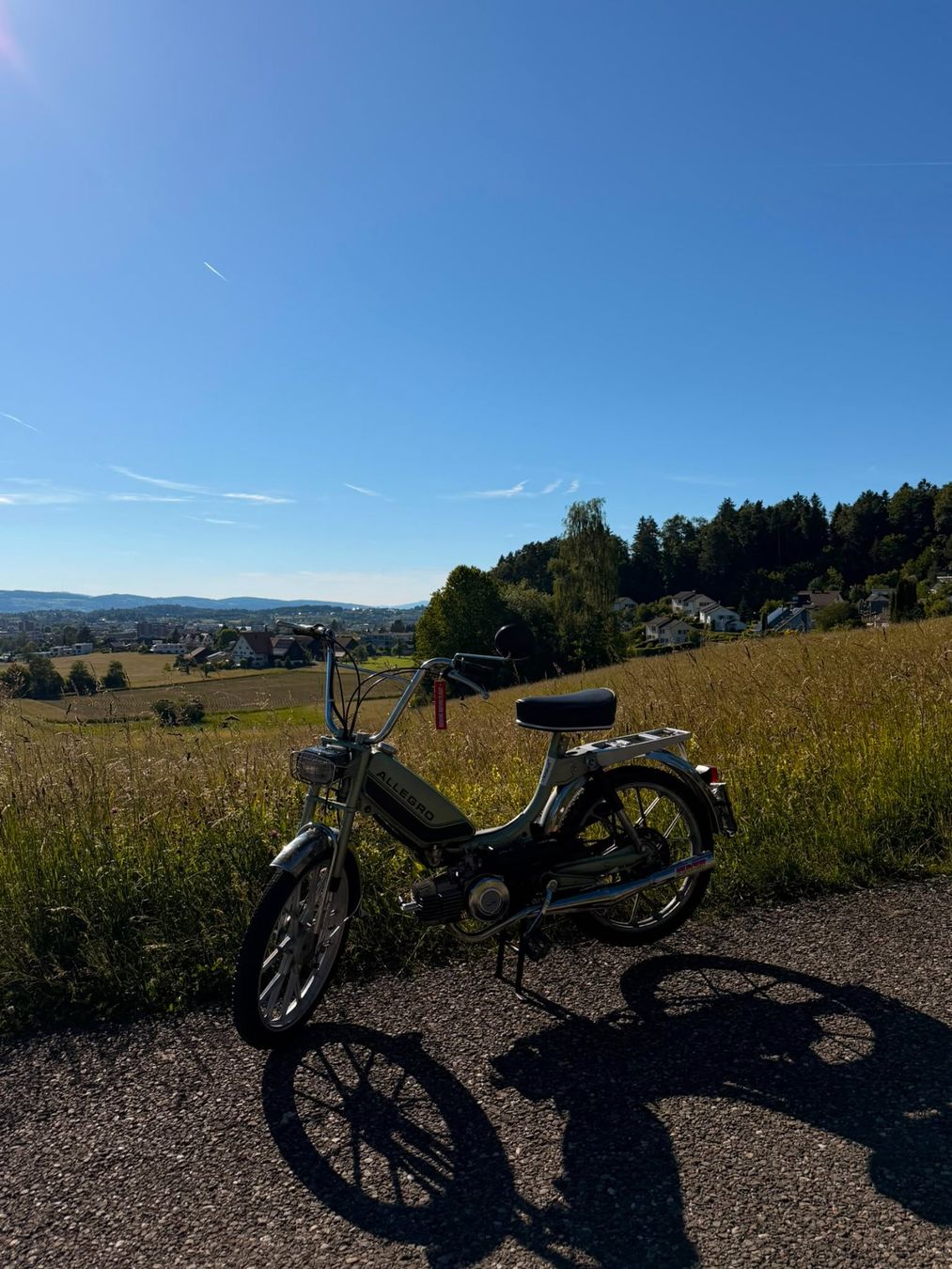 Puch Ciclomotori: Puch Allegro GS1 – Usato da Wetzikon ZH venduto da ALBEX1012 2
