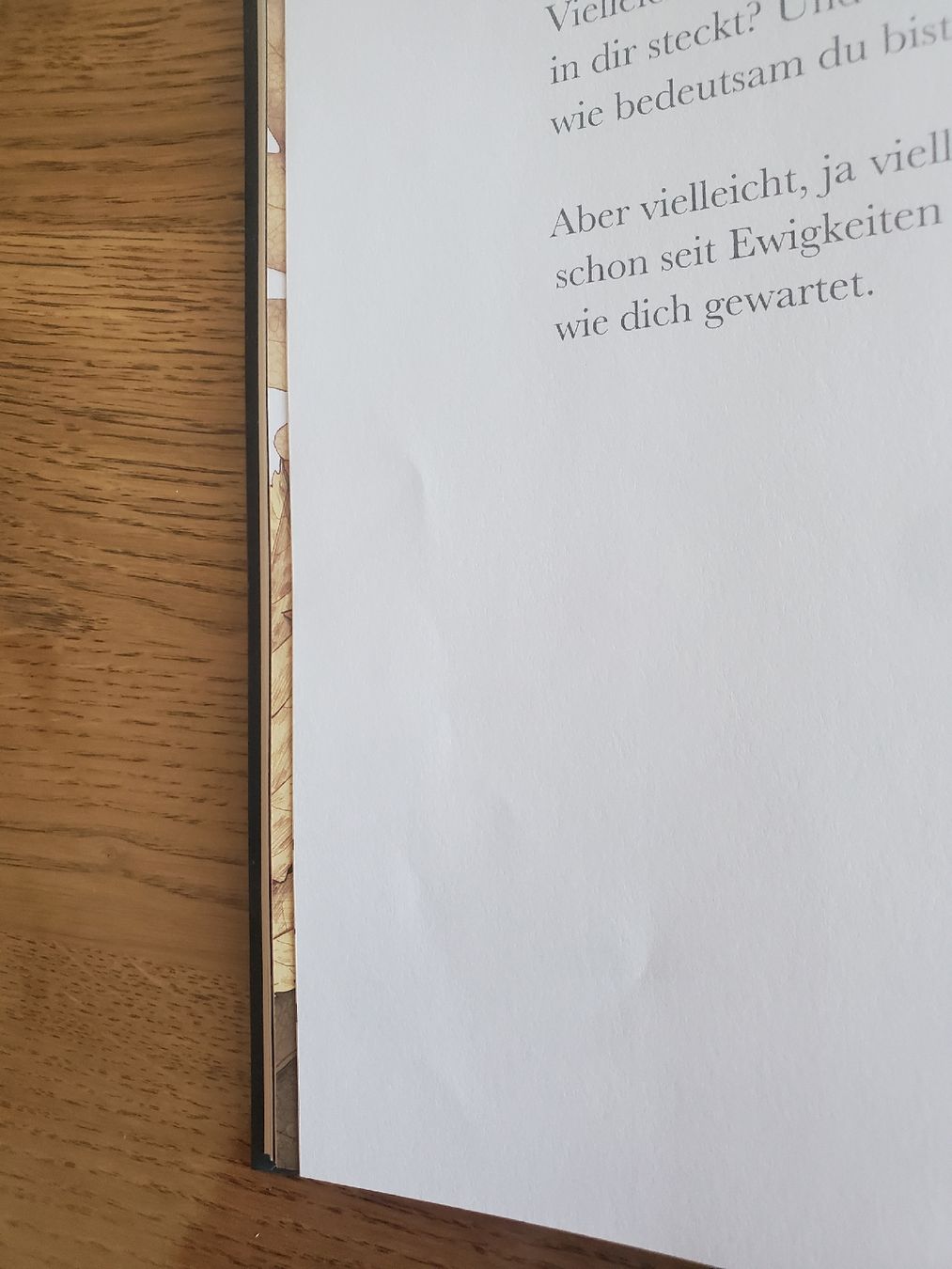 Bücher: Buch Vielleicht – Gebraucht aus Frauenfeld von BeneFull 6