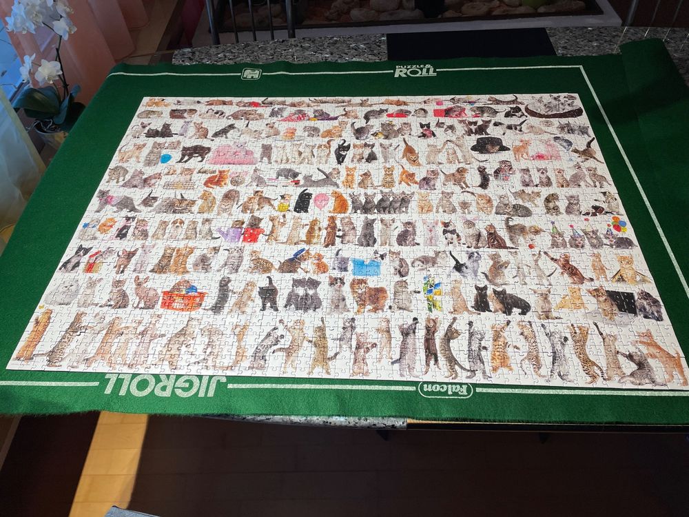 Trefl, Puzzle, Katzenparadies, 2000 Teile, für Kinder AB 12 Jahren, Le