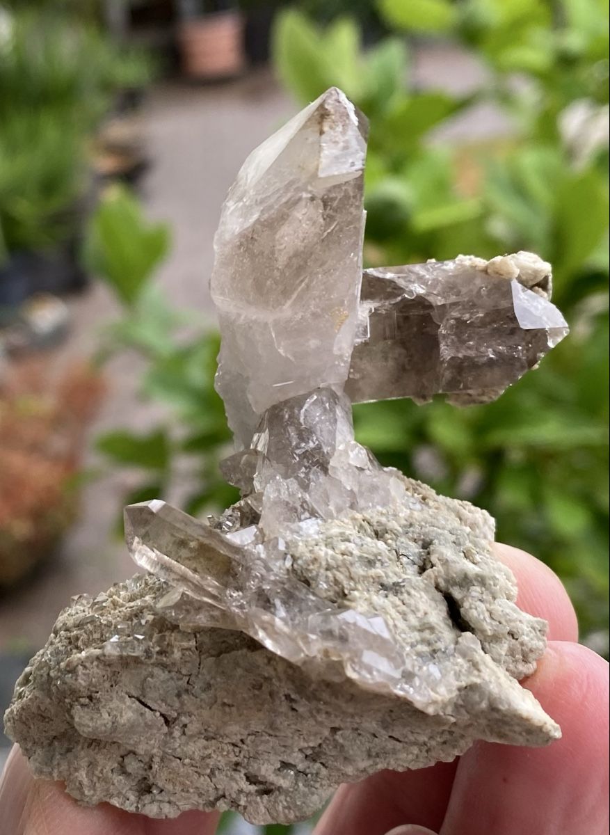 Minerali & Pietre curative: Spezieller Rauchquarz vom Grimsel  – Usato da Selzach venduto da 321compac 8