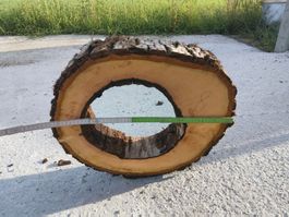 Nussbaum Holzscheibe Nr. 8 Dekoration