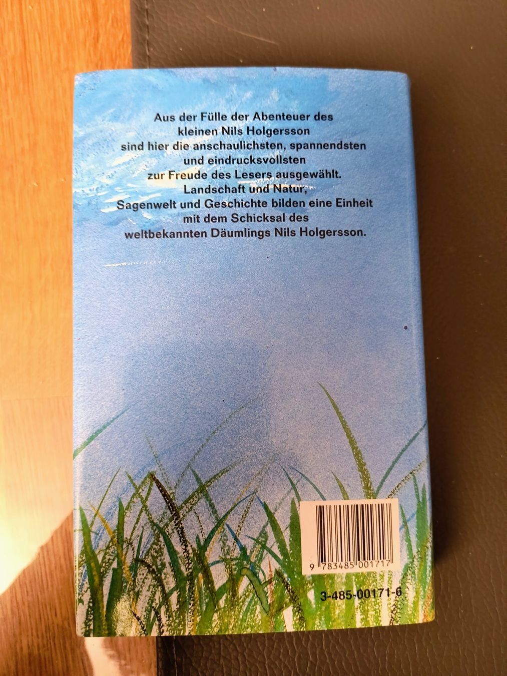 Libri: Nils Holgerssons - Kinderbuch Klassiker! – Usato da Oberweningen venduto da Bumblebee2 2