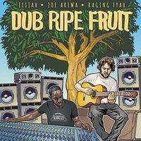 Elijah  / Joe Ariwa / Raging Fyah – Dub Ripe Fruit, LP