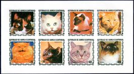 ÄQUATORIALGUINEA 1978 KATZEN BLOCK *OHNE GUMMI* -W359