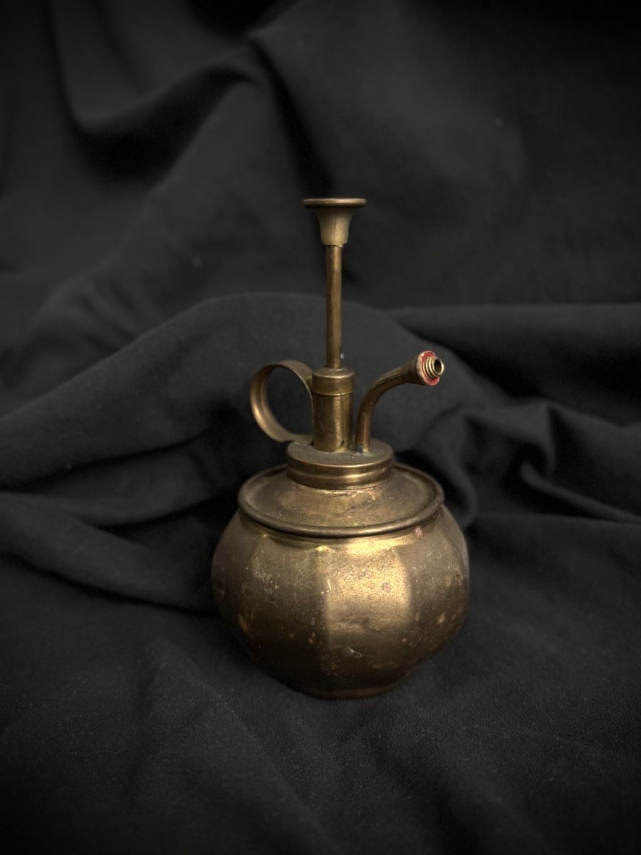 Tutte le decorazioni: Brass Plant Sprayer Antique Decorative Item – Usato da Bern venduto da nkink 1