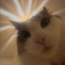 Profile image of rap_8mxz