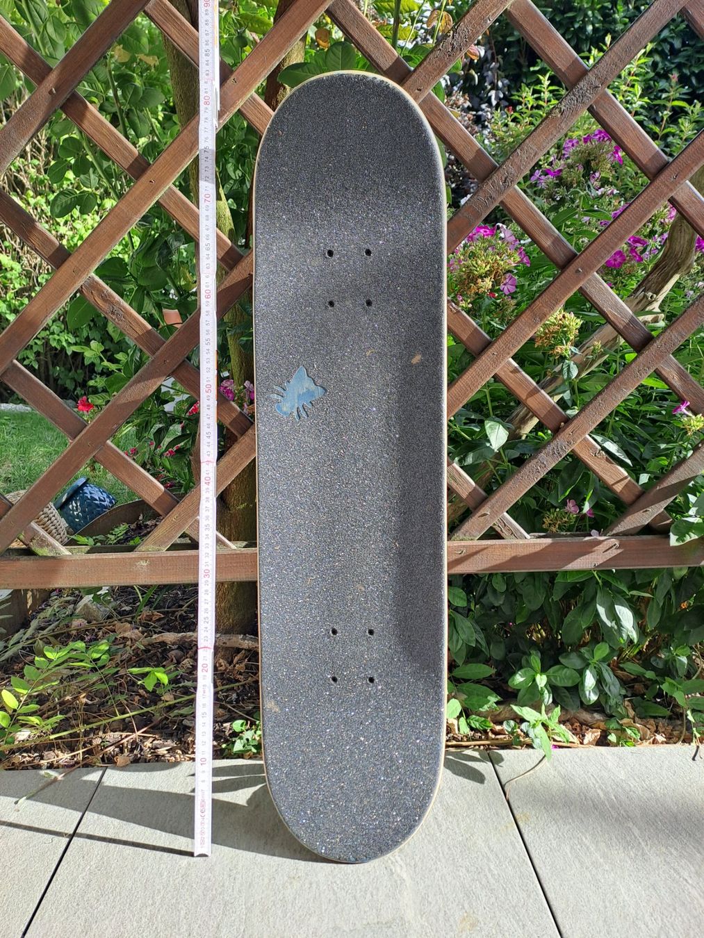 Madrid Skateboards: Skateboard – Usato da Kleindöttingen venduto da sasis 2