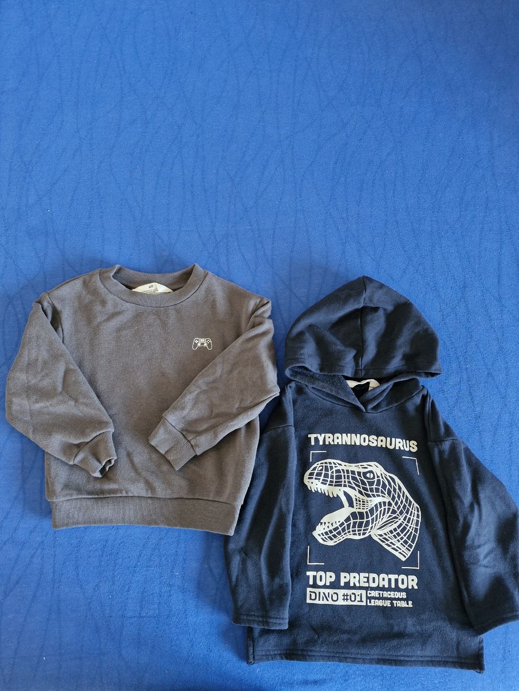 H&M Maglioni & Felpe: Pullover Gr.98/104 Junge – Usato da Disentis/Mustér venduto da epa_862v