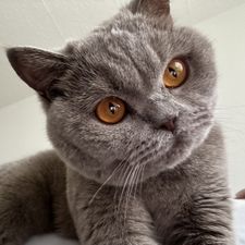 Profile image of eeemaa