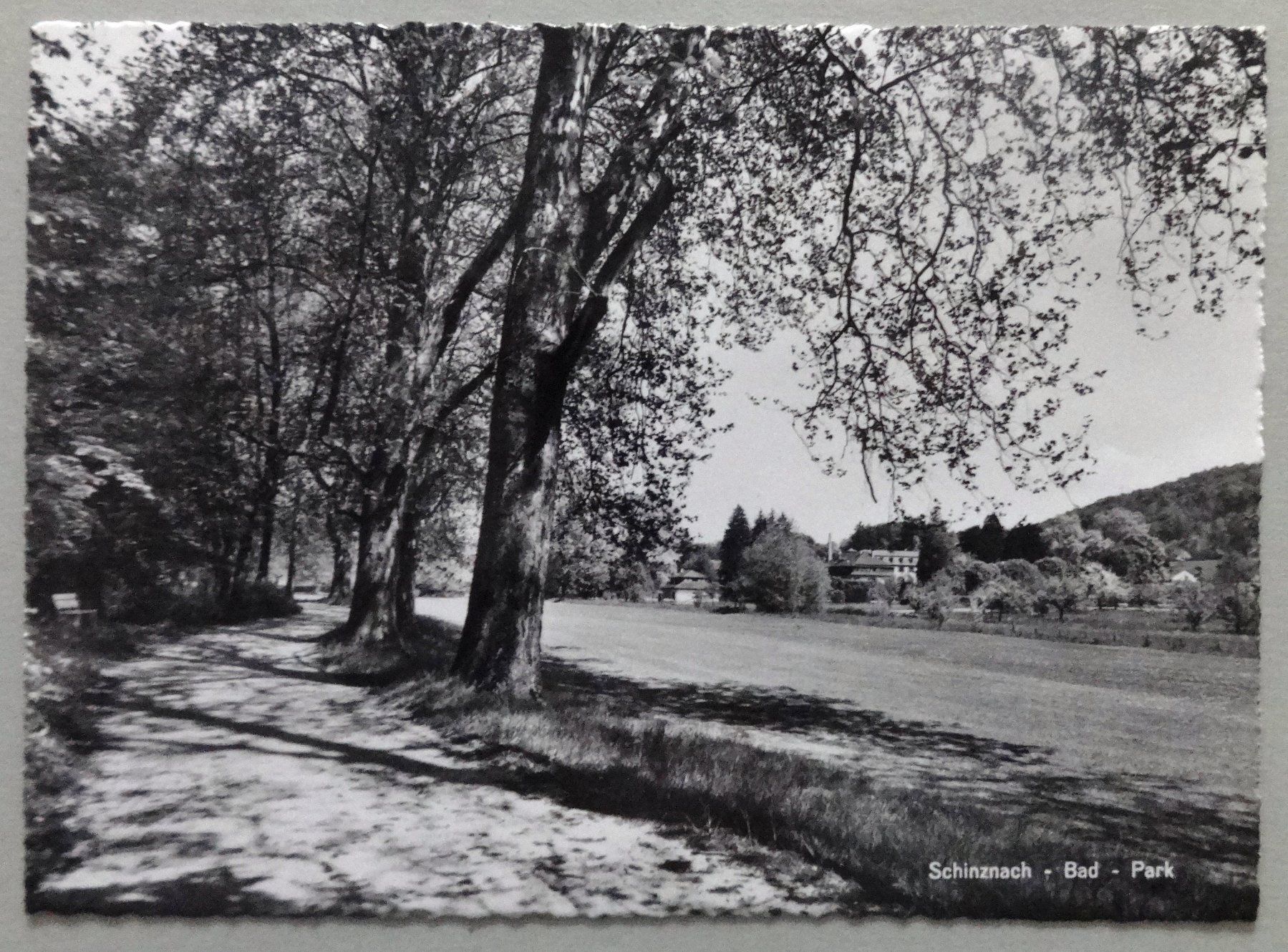 Cartes postales: Schinznach-Bad - Park – D'occasion à Fétigny par Billy2miny