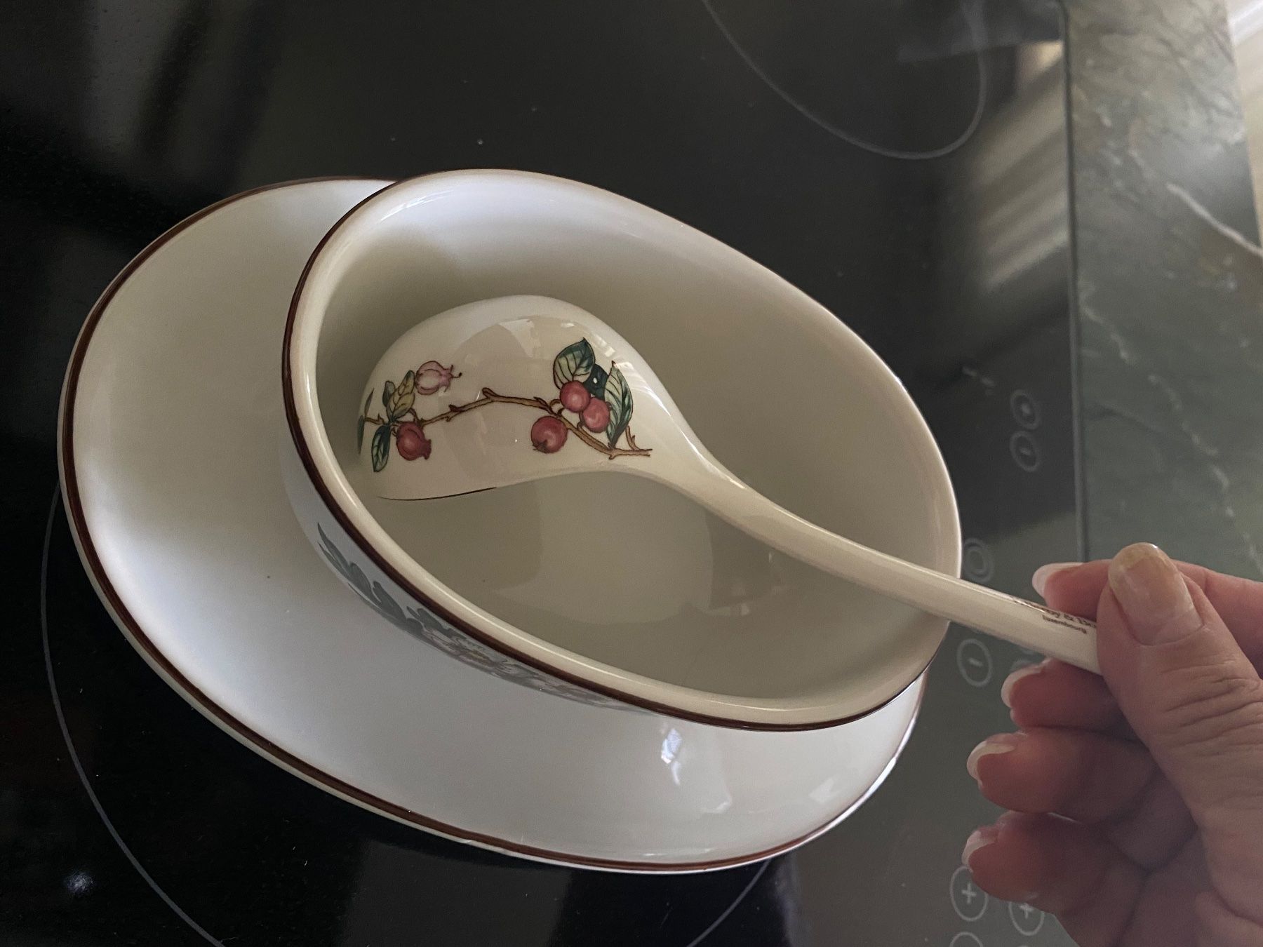 Villeroy & Boch Set di piatti: Sausiere Villory Boch Botanica – Usato da Russikon venduto da Honolulu-2019 6