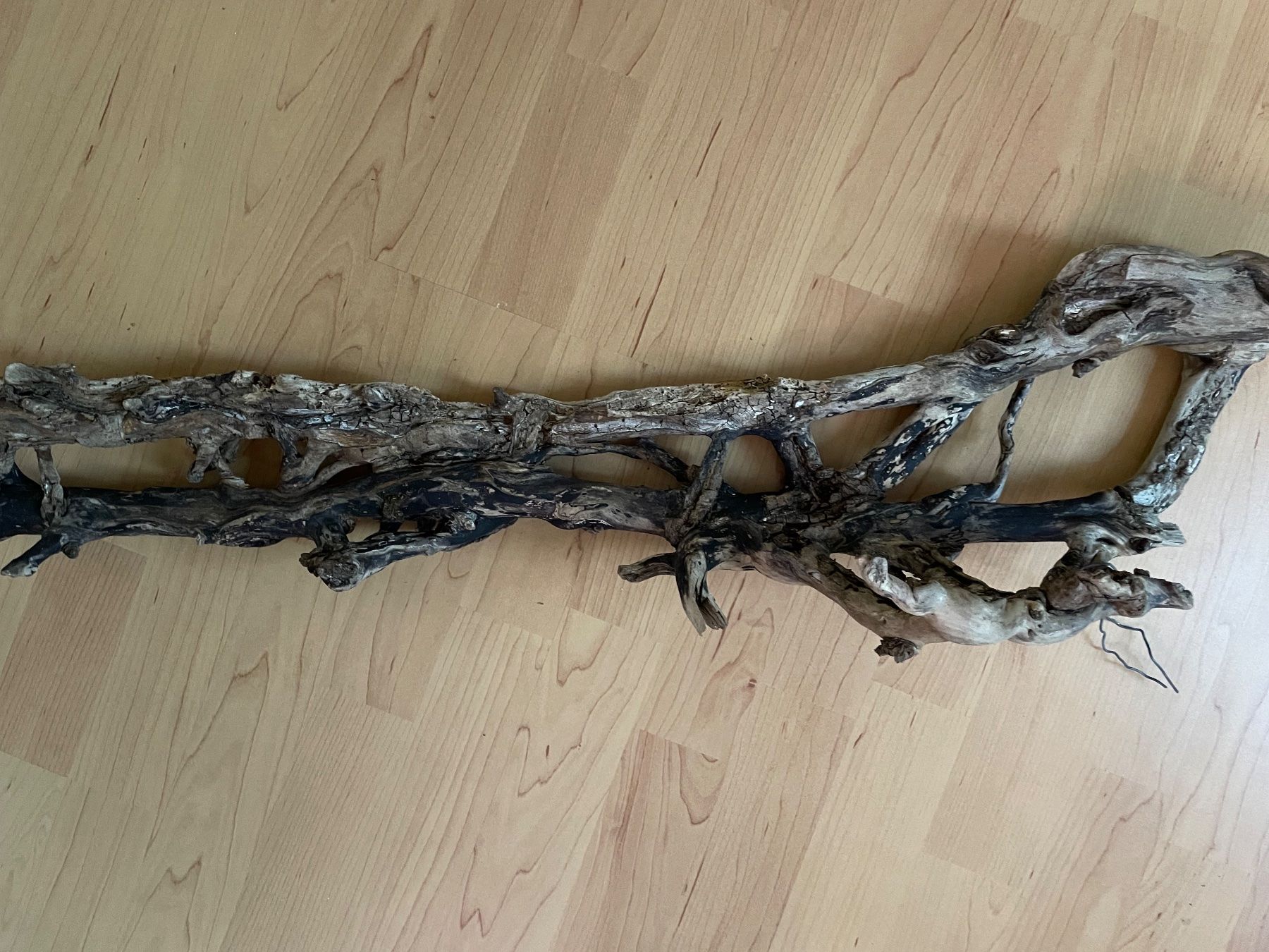 Tutte le decorazioni: Branches de tout types pour terrarium – Usato da Monthey venduto da rma_m72q 4