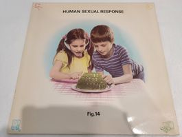 Human Sexual Response – Fig. 14