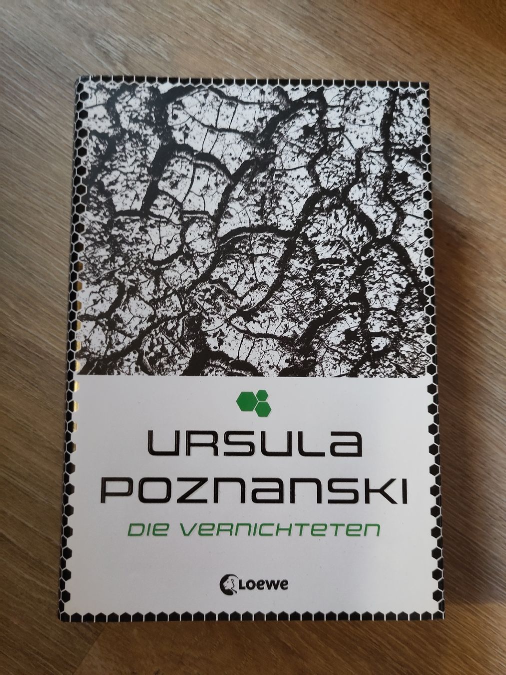 Bücher: Ursula Poznanski - Die Vernichteten – Gebraucht aus Bachs von maykelrk