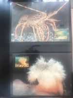 Alderney 1993 Satz WWF Meeresfauna Maximumkarten