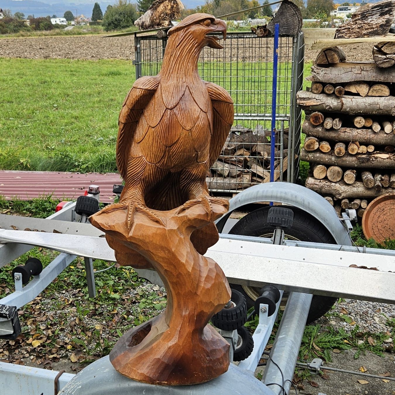 Xilografie: Alter Holzgeschnitzter Adler – Usato da Thun venduto da Engel114 5