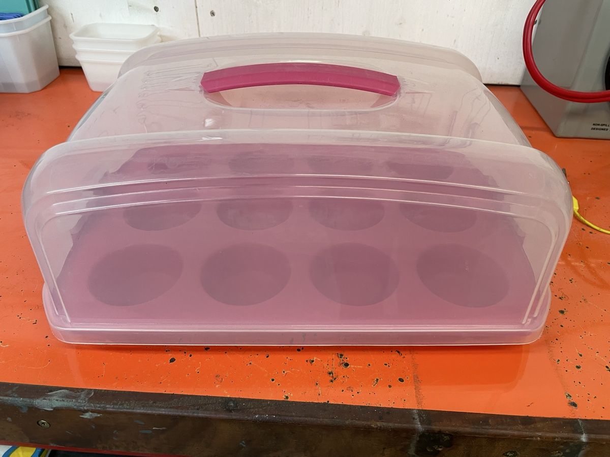 Contenitori & Simili: Muffin Transportkiste – Usato da Wichtrach venduto da jessy_di