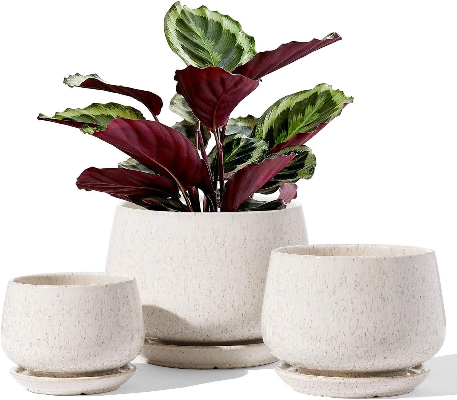 Vasi per fiori: Keramik Blumentöpfe 3er Set mit Untersetzer Beige – Nuovo e nell'imballaggio originale da Zürich venduto da jasminleut