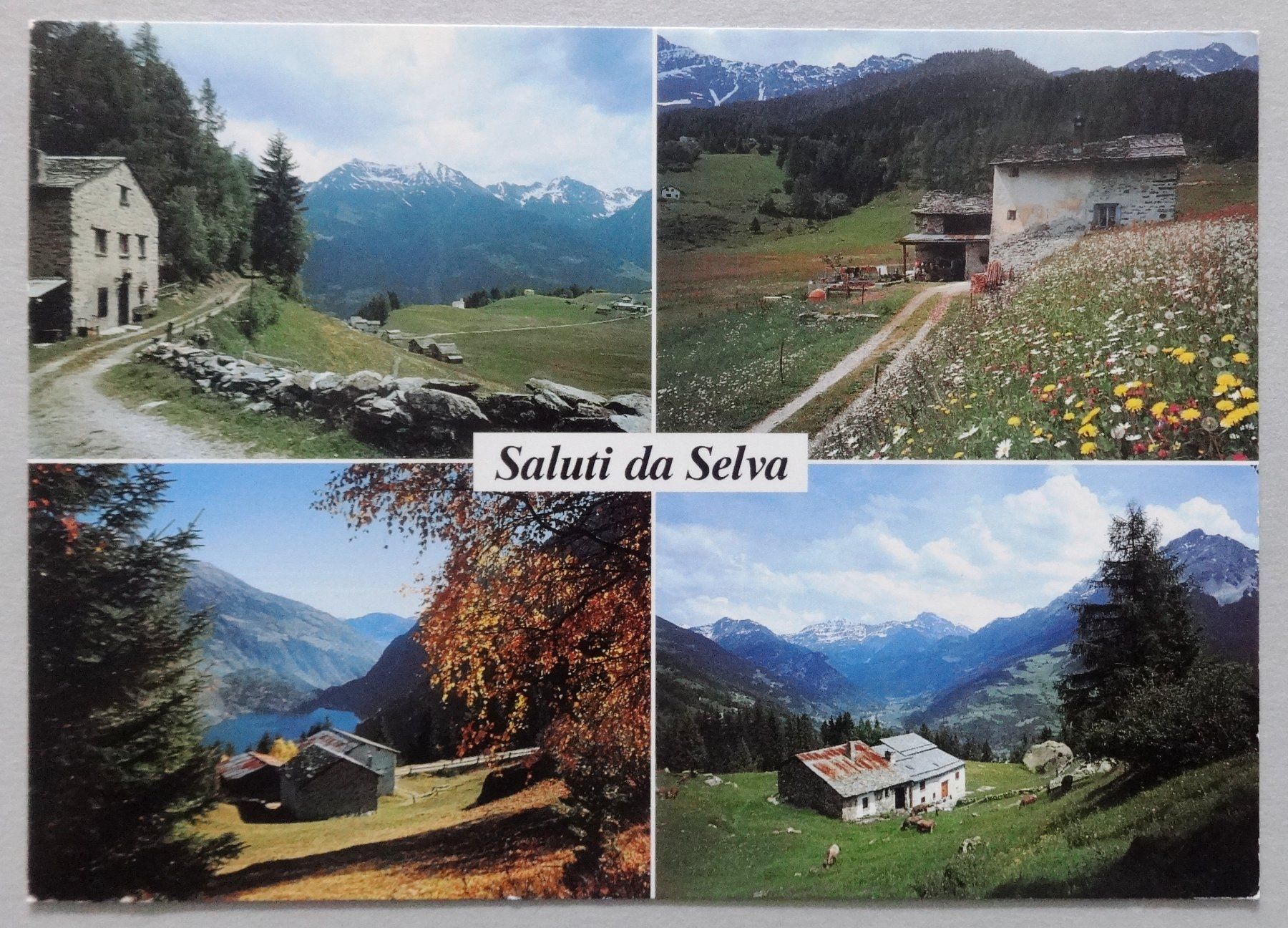 Cartoline postali: Selva e dintorni (Valposchiavo) – Difettoso da Fétigny venduto da Billy2miny
