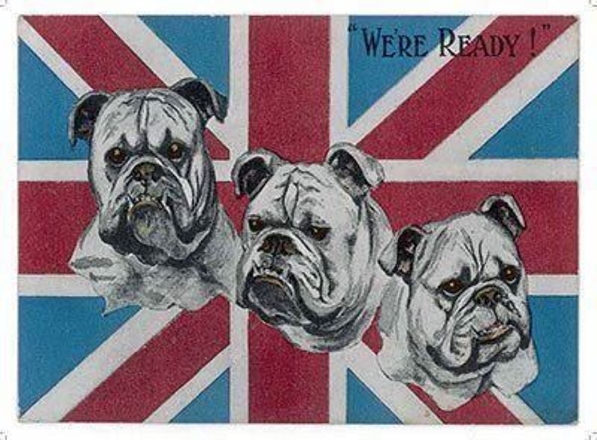 Insegne: Blechschild-WE ARE READY - 30 x 40 cm – Nuovo e nell'imballaggio originale da Rupperswil venduto da big-one-sale