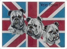 Blechschild-WE ARE READY - 30 x 40 cm