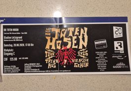 Die Toten Hosen 20.6.2026 Zürich - 1 Ticket Stehplatz