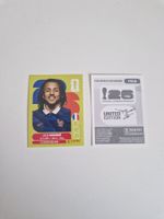 Panini Sticker FRA5
