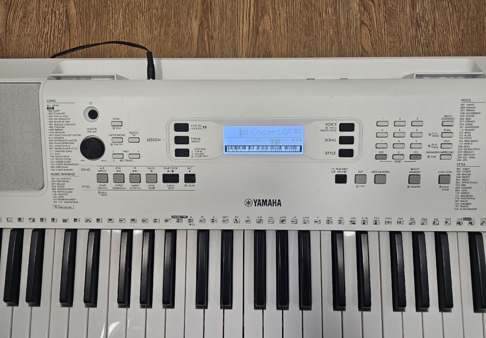 Strumenti musicali: Keyboard Yamaha EZ-300 – Usato da Tann venduto da Samimi02 2