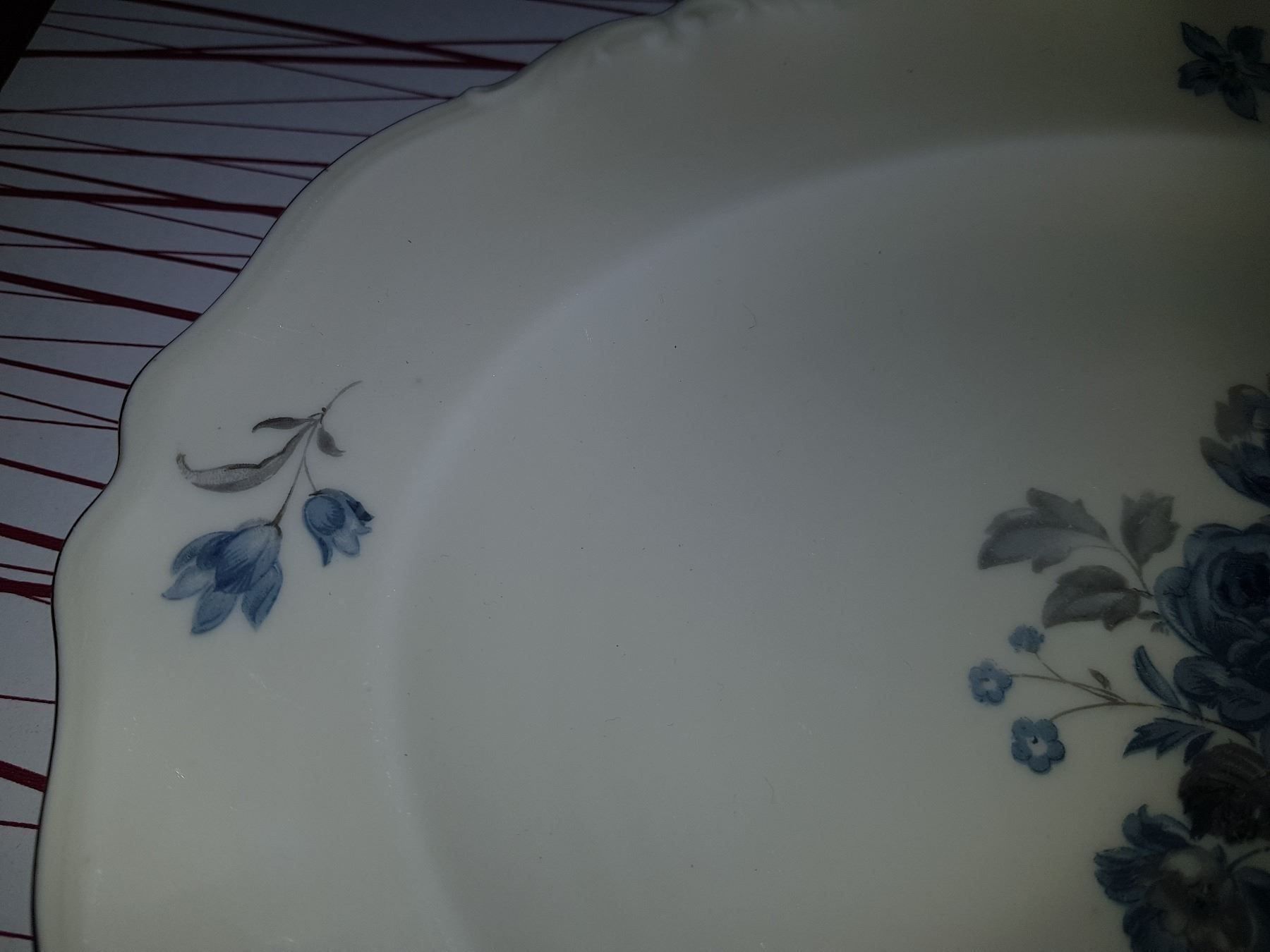 Piatti: assiette ovale EPIAG CZECHOSLOVAKIA – Usato da Cossonay-ville venduto da Super-Price-Quality 5