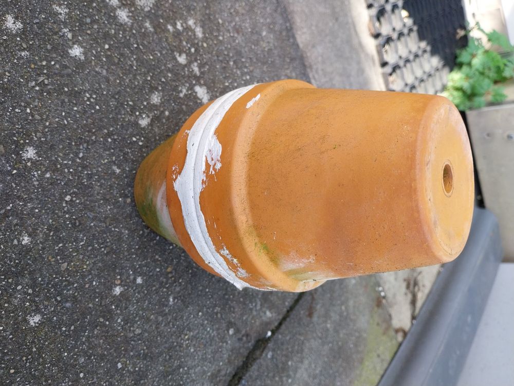 Ollas Wasserspeicher Bewässerung Kaufen auf Ricardo