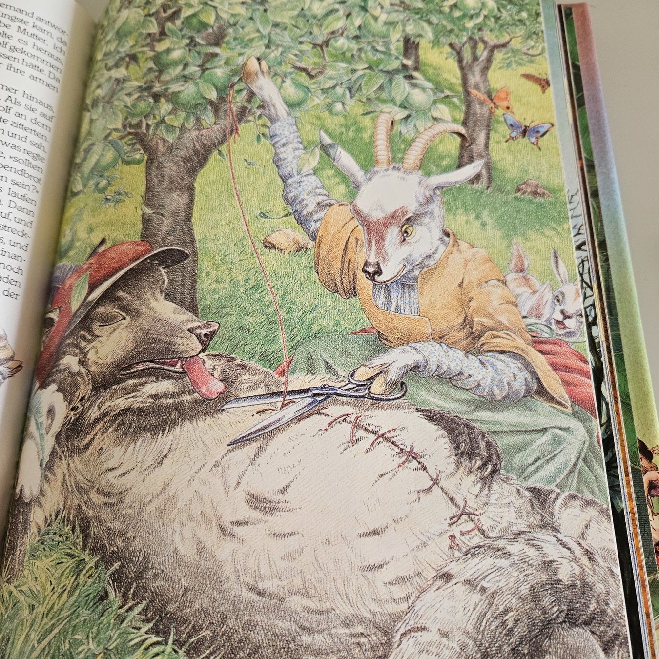 Libri: Märchen  Schatz – Usato da Uster venduto da Sonnenblume212 7